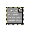 LoRa Wireless Spread Spectrum Module Ra-09H Support LoRaWAN Prototcal STM32WLE5CCU6 Chip