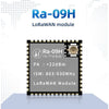 LoRa Wireless Spread Spectrum Module Ra-09H Support LoRaWAN Prototcal STM32WLE5CCU6 Chip