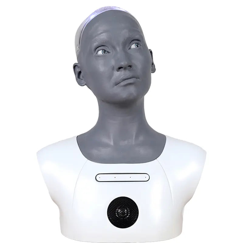 Engineered Arts Ami Desktop Social Humanoid Robot
