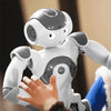 Maxtronix NAO6 Humanoid Robot