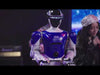 RB-Cas-03 - Video