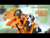 RB-Tha-103 - Video