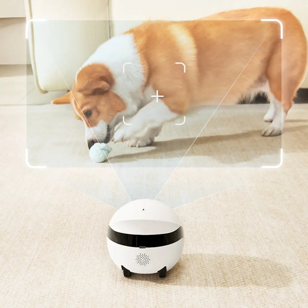 ROLA Mini Pet Monitor Companion Robot - RobotShop