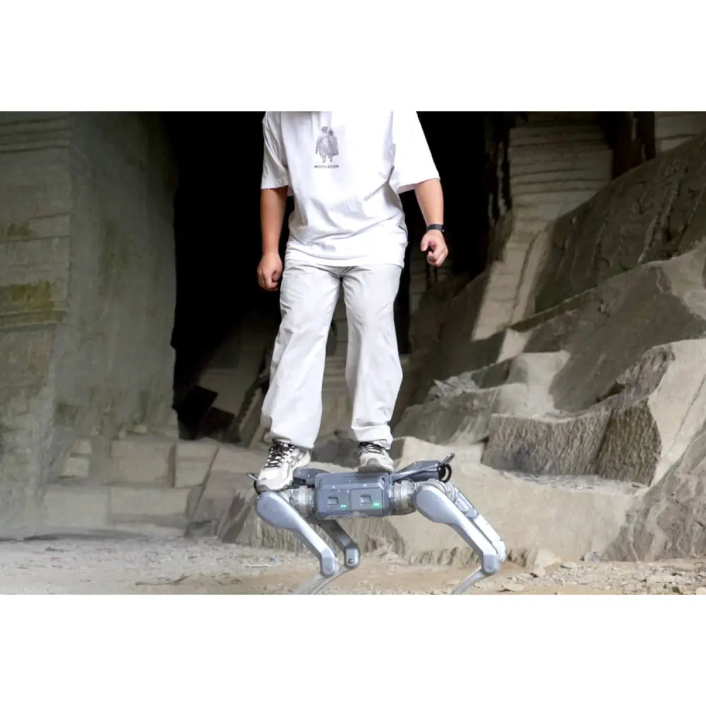 Unitree A2 Robotic Dog