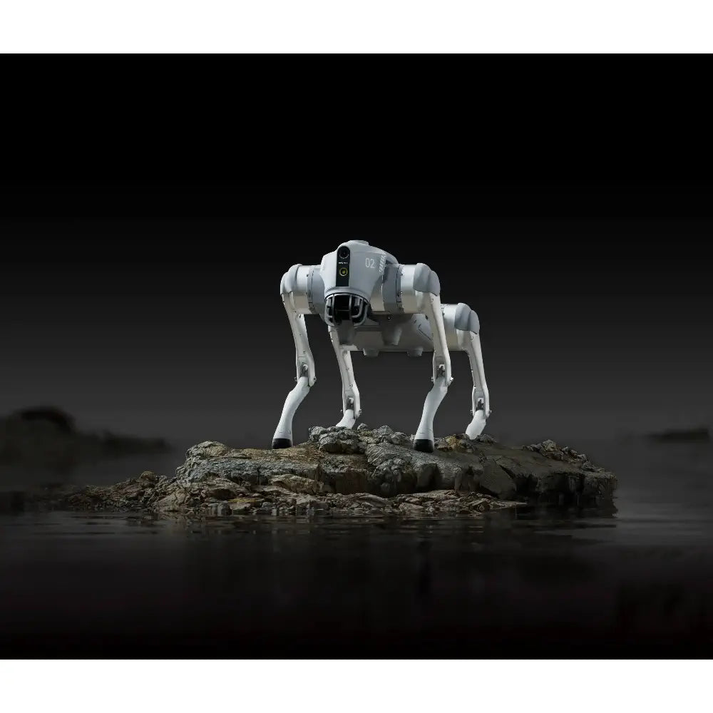 Unitree Go2 AIR Robotic Dog - RobotShop