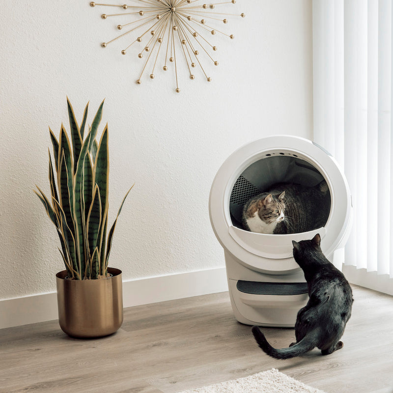 Litter-Robot 4 Automatic Litter Box (White) with 3-Year Warranty
